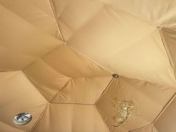 202411271035031 202411271035031